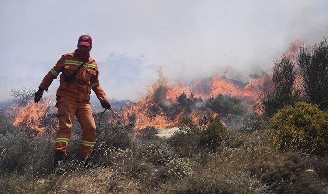 Φωκίδα: Ξέσπασε φωτιά στην περιοχή Βουνιχώρα-Πυρκαγιά και στη Φθιώτιδα