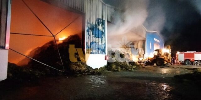 Αλίαρτος: Φωτιά σε αποθήκες με ζωοτροφές – Μεγάλη επιχείρηση της Πυροσβεστικής