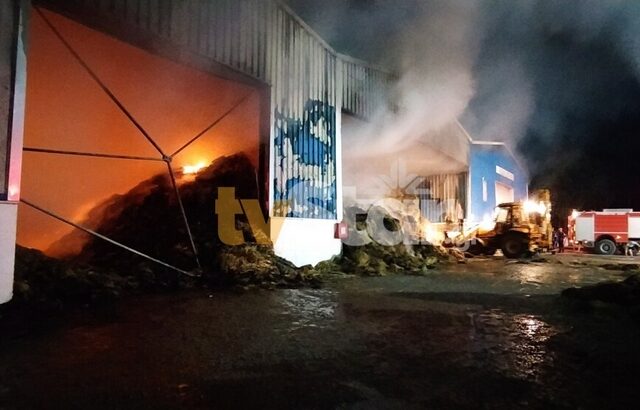 Αλίαρτος: Φωτιά σε αποθήκες με ζωοτροφές – Μεγάλη επιχείρηση της Πυροσβεστικής