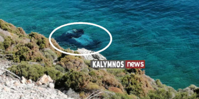 Κάλυμνος: Νεκρός 73χρονος που έπεσε με το αυτοκίνητό του στη θάλασσα