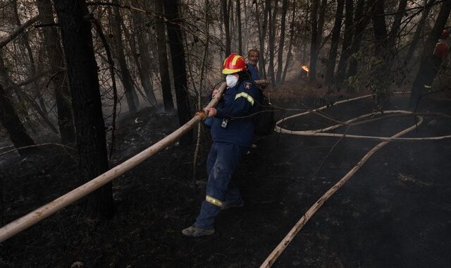 Φωτιά στο Σχιστό: Αναζωπυρώθηκαν οι φλόγες λόγω ανέμων