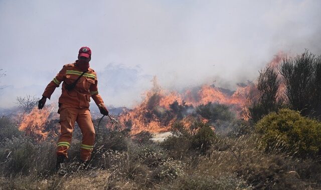 Παιανία: Φωτιά σε χορτολιβαδική έκταση