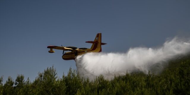 Αλβανία: Μεγάλη πυρκαγιά στο νησί Σασών – Ενισχύσεις στέλνει η Ελλάδα