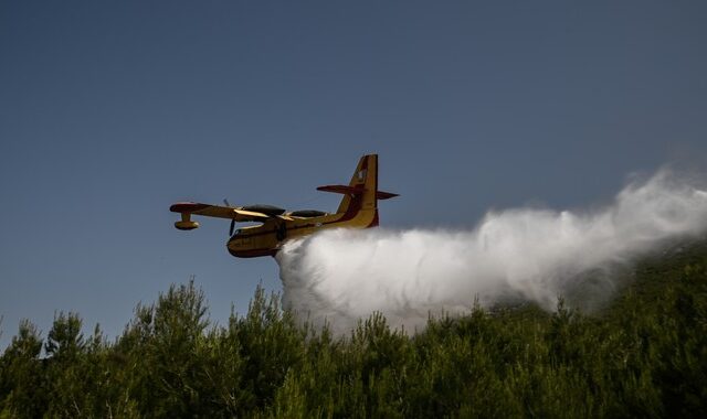 Αλβανία: Μεγάλη πυρκαγιά στο νησί Σασών – Ενισχύσεις στέλνει η Ελλάδα