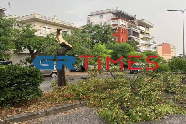 Θεσσαλονίκη: Σαρωτική καταιγίδα – Κατέρρευσαν λαμαρίνες, πινακίδες, ξεριζώθηκαν δέντρα