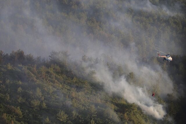 Τουρκία: Άνδρας έβαλε φωτιά σε δάσος μετά από καυγά με συγγενείς του