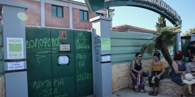 Αττικό Ζωολογικό Πάρκο: Προανάκριση για τη θανάτωση του χιμπατζή – Ελεύθερος ο φροντιστής που τον πυροβόλησε