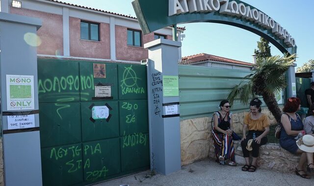 Αττικό Ζωολογικό Πάρκο: Προανάκριση για τη θανάτωση του χιμπατζή – Ελεύθερος ο φροντιστής που τον πυροβόλησε