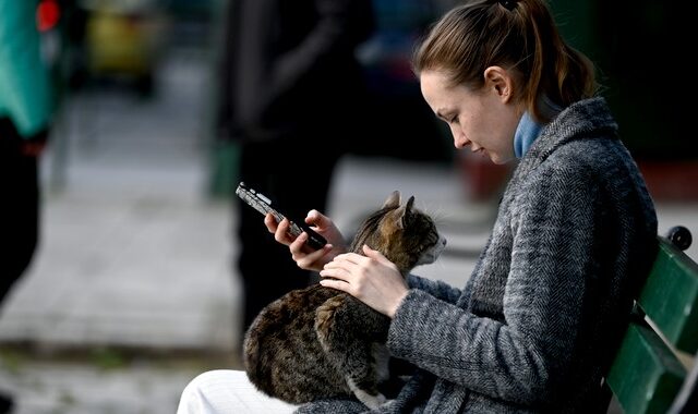Κορονοϊός: Γάτα μόλυνε άνθρωπο για πρώτη φορά – Κτηνίατρος κόλλησε με φτέρνισμα