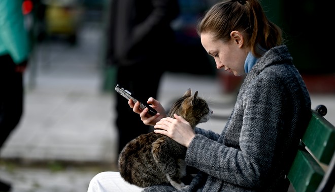 Κορονοϊός: Γάτα μόλυνε άνθρωπο για πρώτη φορά – Κτηνίατρος κόλλησε με φτέρνισμα