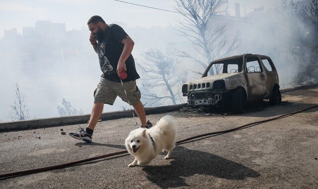 Φωτιά στη Βουλα: Δέκα συγκλονιστικά καρέ από τις καταστροφές και τη μάχη με τις φλόγες