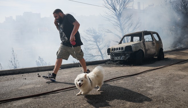 Φωτιά στη Βουλα: Δέκα συγκλονιστικά καρέ από τις καταστροφές και τη μάχη με τις φλόγες