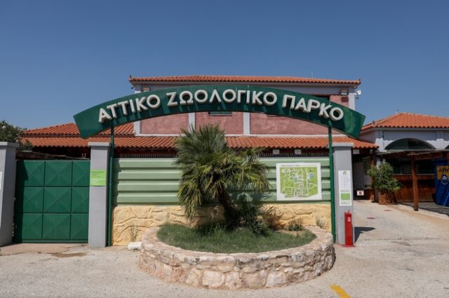 Αττικό Ζωολογικό Πάρκο: Πλήρη έλεγχο της λειτουργίας του ζητούν 36 βουλευτές του ΣΥΡΙΖΑ