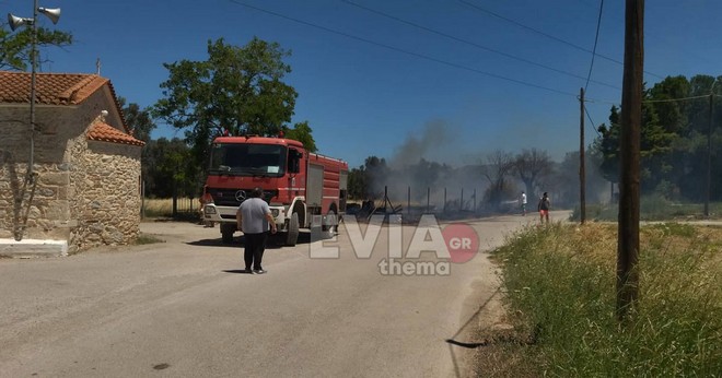 Εύβοια: Φωτιά στον Κάμπο Βασιλικού – Ισχυρές πυροσβεστικές δυνάμεις στο σημείο