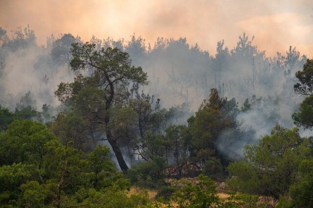 Φωτιά στο Δάσος Δαδιάς: Ακόμα μία νύχτα αγωνίας – Μάχη στο νοτιοδυτικό μέτωπο