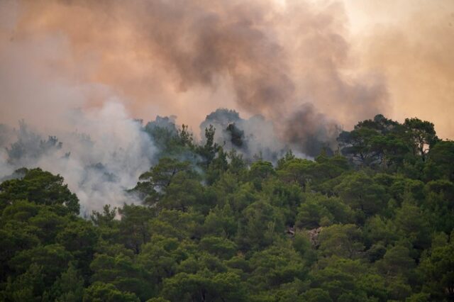 Φωτιά στο δάσος Δαδιάς: Στο νοτιοδυτικό τμήμα η μεγάλη μάχη – Ενεργό μέτωπο μόνο στην περιοχή Φυλακτού