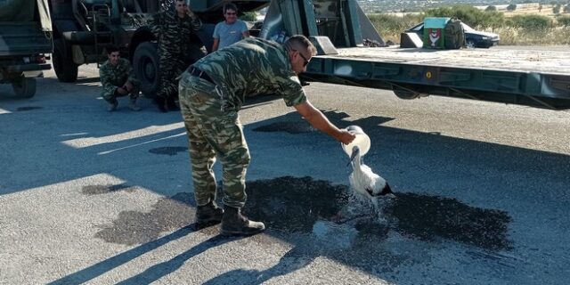 Φωτιά στη Λέσβο: Η στιγμή που στρατιωτικός δροσίζει πελαργό που είχε καεί από την πυρκαγιά