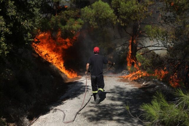 Φυλή Αττικής: Φωτιά σε δάσος κοντά στο γήπεδο Θρασυβούλου