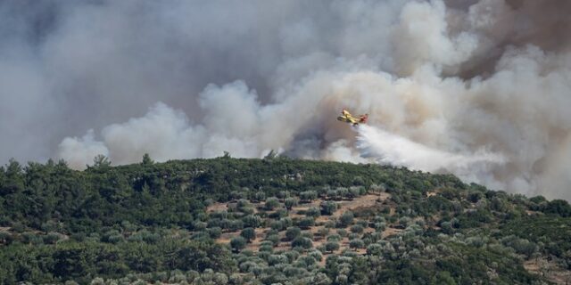 Φωτιά στη Λέσβο: Έξω από τη Βρίσα οι φλόγες  – Μήνυμα από το 112 για εκκένωση του χωριού