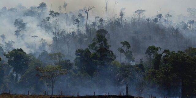 Αμαζόνιος: Σε επίπεδα ρεκόρ η αποψίλωση – Ανησυχία για το μέλλον του δάσους