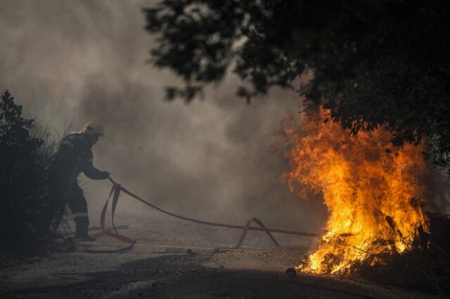 Χαλκιδική: Υπό έλεγχο η φωτιά στη Νέα Καλλικράτεια