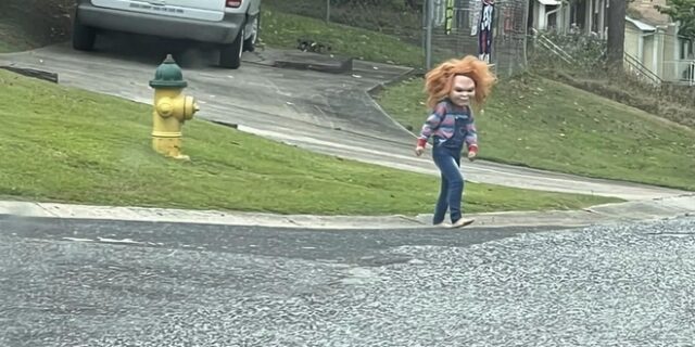 ΗΠΑ: Πεντάχρονος “Chucky” κόβει βόλτες και τη χολή, σε όποιον τον συναντά