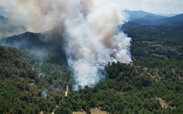 Φωτιές: Για έκτη μέρα καίγεται το δάσος της Δαδιάς – Αναζωπυρώσεις στη Λέσβο