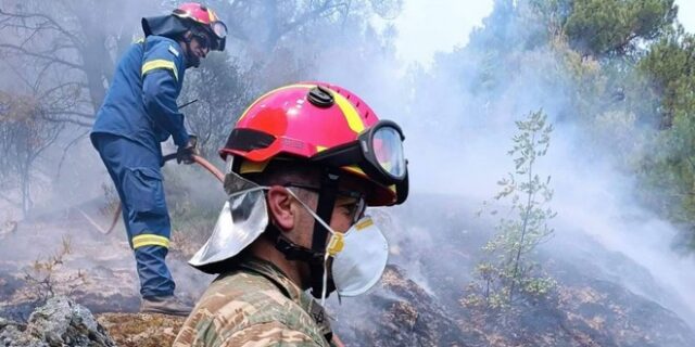 Φωτιές: Πάνω από 25.000 στρέμματα έχουν καεί -μέχρι στιγμής- στη Δαδιά