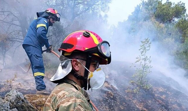 Φωτιές: Πάνω από 25.000 στρέμματα έχουν καεί -μέχρι στιγμής- στη Δαδιά