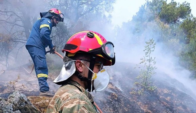Φωτιές: Πάνω από 25.000 στρέμματα έχουν καεί -μέχρι στιγμής- στη Δαδιά