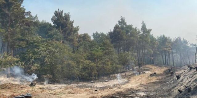 ΣΥΡΙΖΑ: Καίγεται το δάσος της Δαδιάς και η κυβέρνηση φέρνει νομοσχέδιο περιορισμού των περιοχών Natura