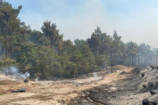 ΣΥΡΙΖΑ: Καίγεται το δάσος της Δαδιάς και η κυβέρνηση φέρνει νομοσχέδιο περιορισμού των περιοχών Natura