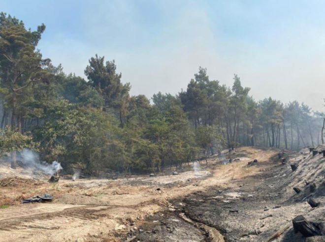 ΣΥΡΙΖΑ: Καίγεται το δάσος της Δαδιάς και η κυβέρνηση φέρνει νομοσχέδιο περιορισμού των περιοχών Natura