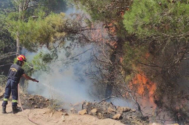 Φωτιά στο Σουφλί: Βελτιωμένη η εικόνα – Συνεχίζεται η μάχη στο δάσος Δαδιάς