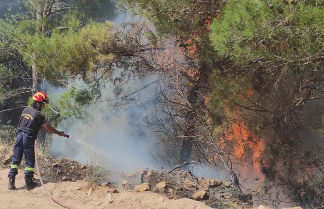 Φωτιά στο Σουφλί: Βελτιωμένη η εικόνα – Συνεχίζεται η μάχη στο δάσος Δαδιάς
