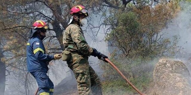 Φωτιές σε Ηλεία και Κόνιτσα