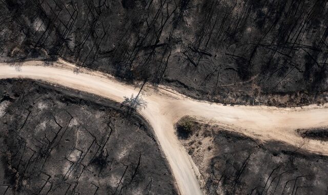 Φωτιά στη Δαδιά: Η μεγάλη καταστροφή και οι τραγικές ελλείψεις