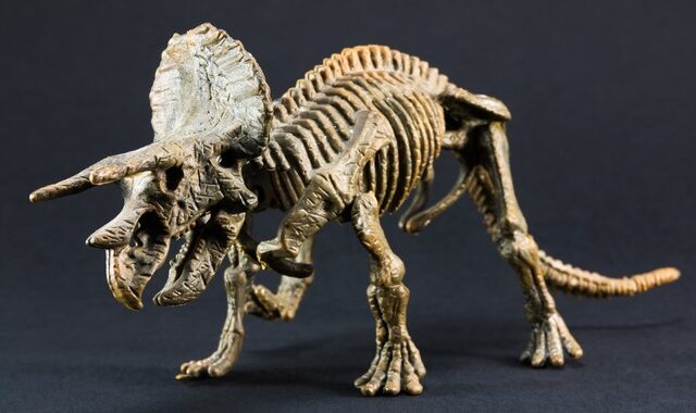 Σκελετός δεινοσαύρου πωλήθηκε σε δημοπρασία – Αντιδράσεις από επιστήμονες