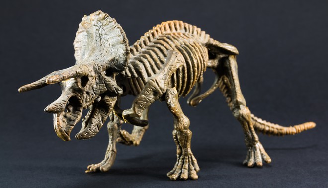 Σκελετός δεινοσαύρου πωλήθηκε σε δημοπρασία – Αντιδράσεις από επιστήμονες