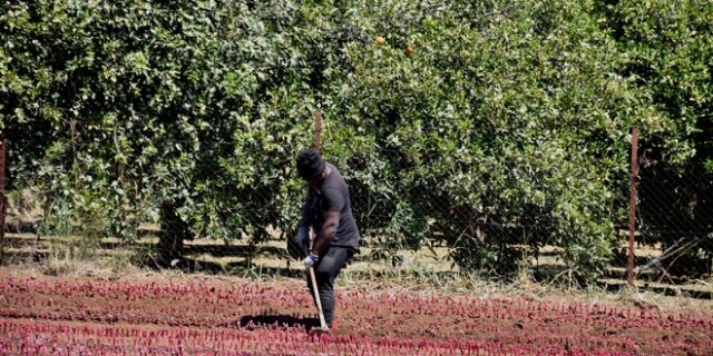 ΚΕΕΡΦΑ: Καταγγελία για ξυλοδαρμό μετανάστη από τον εργοδότη του στο Άργος