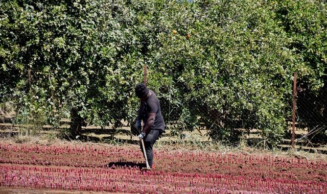 ΚΕΕΡΦΑ: Καταγγελία για ξυλοδαρμό μετανάστη από τον εργοδότη του στο Άργος