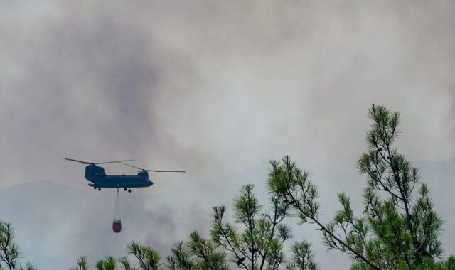 Δάσος Δαδιάς: Μία εβδομάδα μάχης με τις φλόγες – Ξεκίνησαν οι ρίψεις νερού