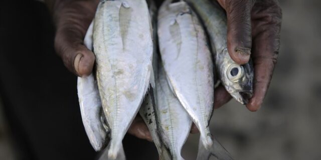 Η κλιματική αλλαγή αλλάζει και τα μενού των εστιατορίων