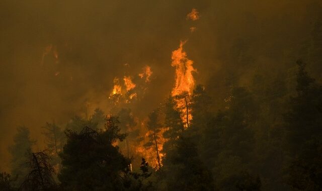 Φωτιές: Πολύ υψηλός κίνδυνος και το Σάββατο – Ποιες περιοχές είναι στο “πορτοκαλί”
