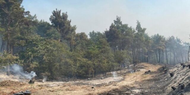 Καβάλα: Υπό έλεγχο η φωτιά στον δήμο Παγγαίου