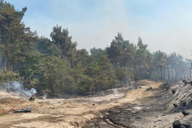 Φωτιά στο Βραχάσι: Συνελήφθη 45χρονη για εμπρησμό