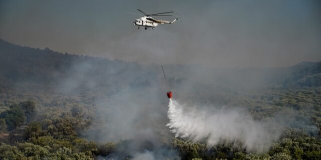 Φωτιές: Καίει για 8η μέρα στη Δαδιά – Πύρινα μέτωπα σε Λέσβο, Γρεβενά και Λασίθι