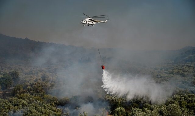 Φωτιές: Καίει για 8η μέρα στη Δαδιά – Πύρινα μέτωπα σε Λέσβο, Γρεβενά και Λασίθι