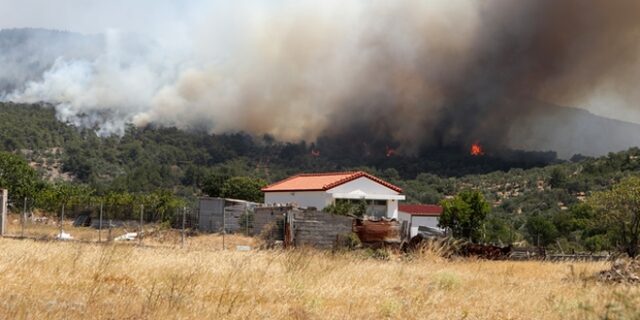 Καραθανασόπουλος για φωτιές: Προδιαγεγραμμένο έγκλημα σε βάρος του περιβάλλοντος