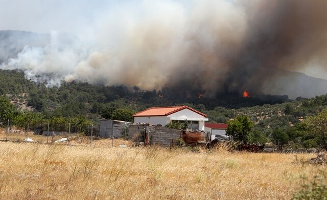 Καραθανασόπουλος για φωτιές: Προδιαγεγραμμένο έγκλημα σε βάρος του περιβάλλοντος